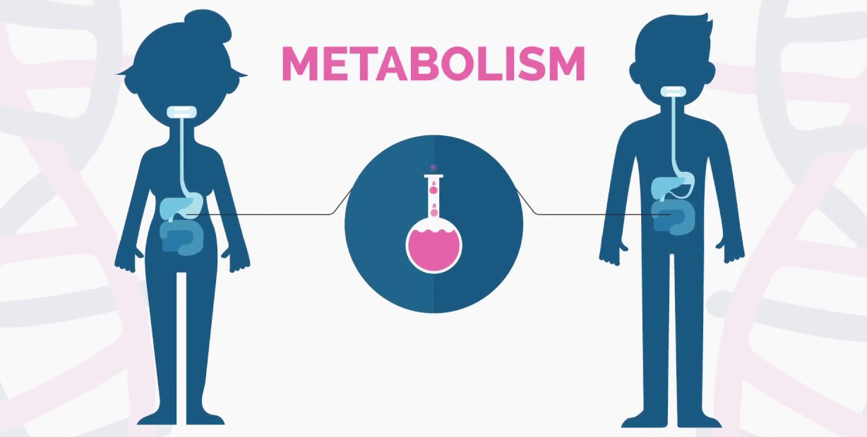 People With Metabolic Concerns People With Metabolic Concerns