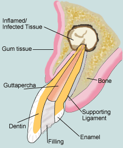 surgery2.jpg